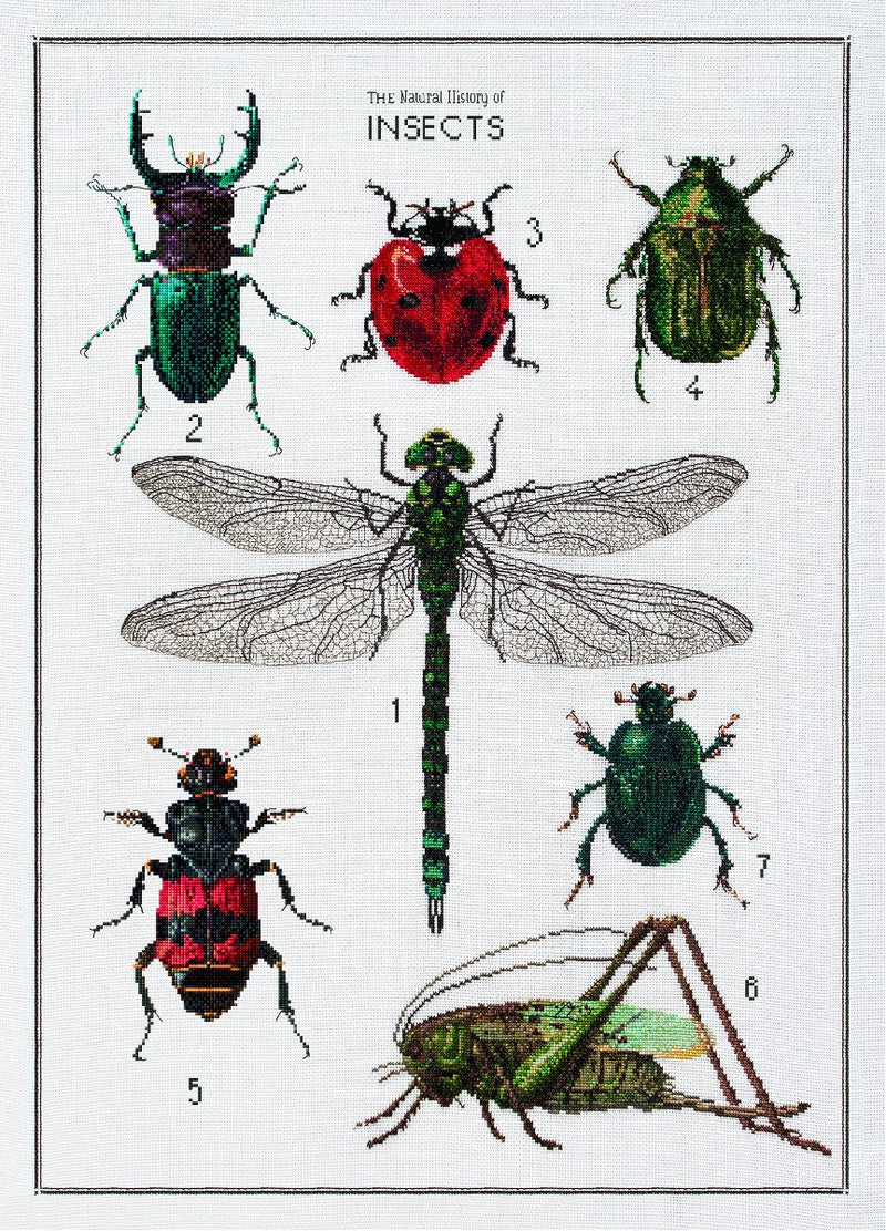 Borduurkit aida history of insects