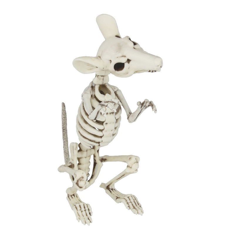 Skelet - rat 28 cm