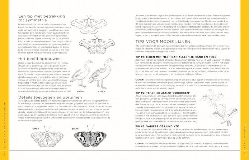 Boek - 100 vogels, vlinders en andere insecten
