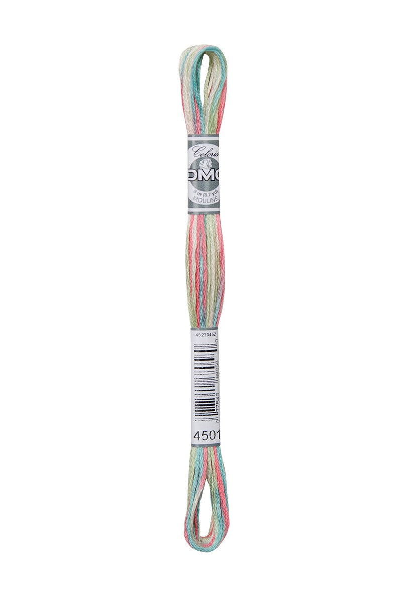 DMC Mouliné Coloris - 4501