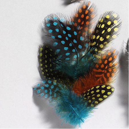 Parelhoenveren 3-10 cm - blauw, geel en oranje ±40 stuks