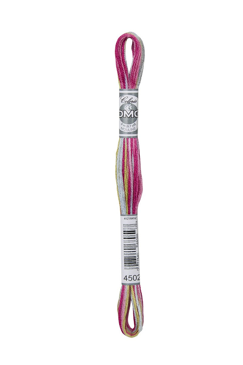 DMC Mouliné Coloris - 4502