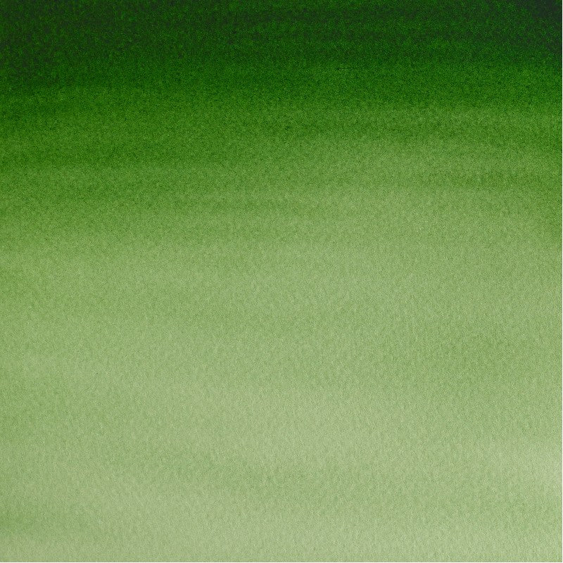 W&N Cotman Watercolours - half napje - hookers green light