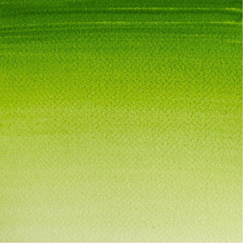 W&N Cotman Watercolours - half napje - sap green