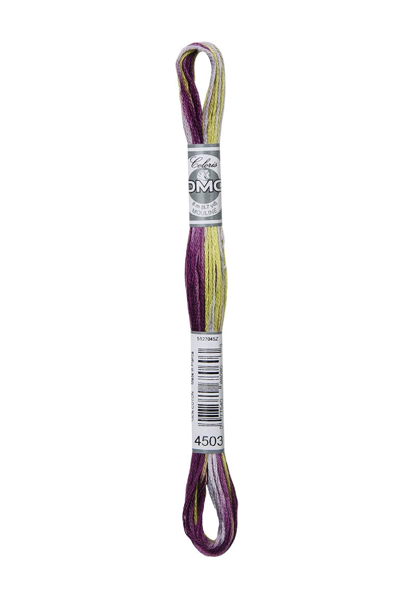 DMC Mouliné Coloris - 4503