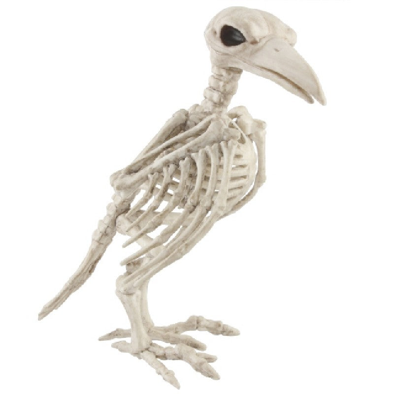 Skelet kraai