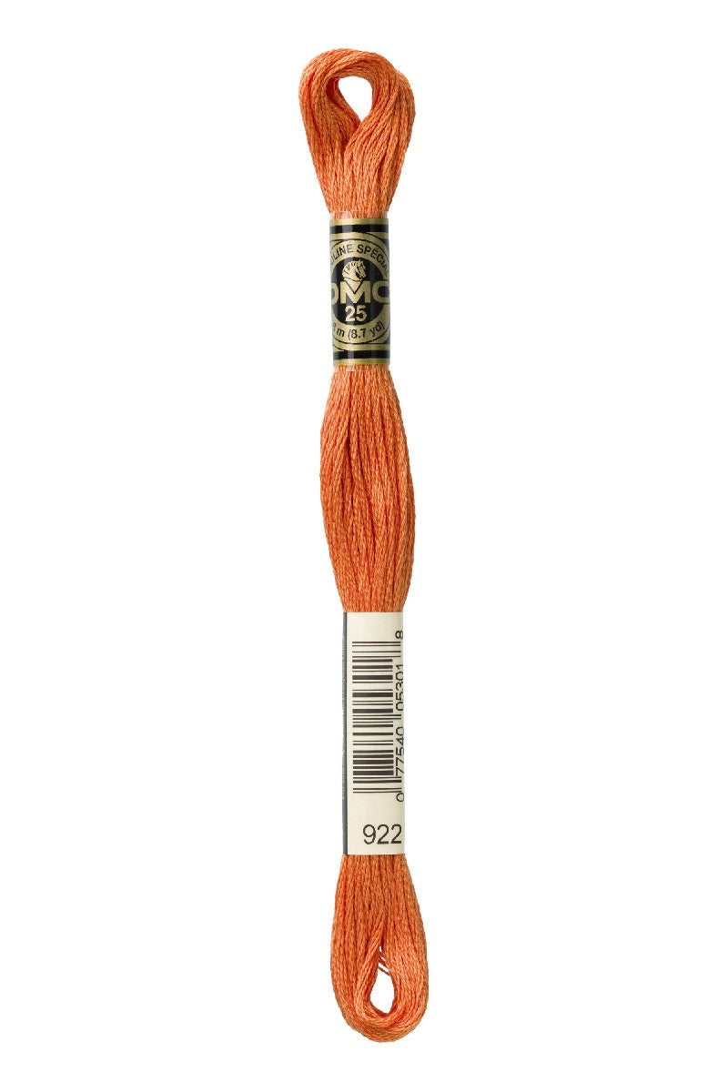 DMC Mouliné Spécial - 922