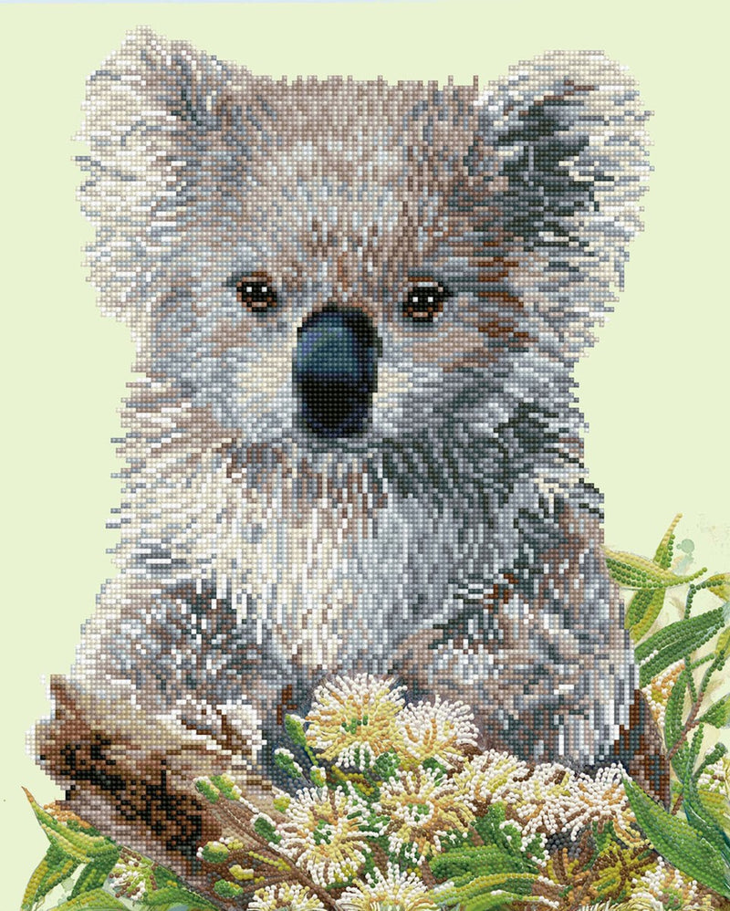 Diamond Dotz - 49x59 cm - Koala and Eucalypus Blossom