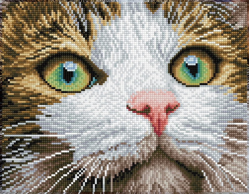 Diamond Dotz - 45x35 cm - kat