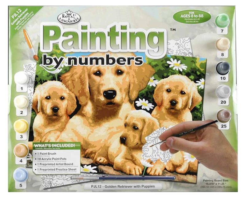 Schilderen op nummer Junior XL Golden Retriever