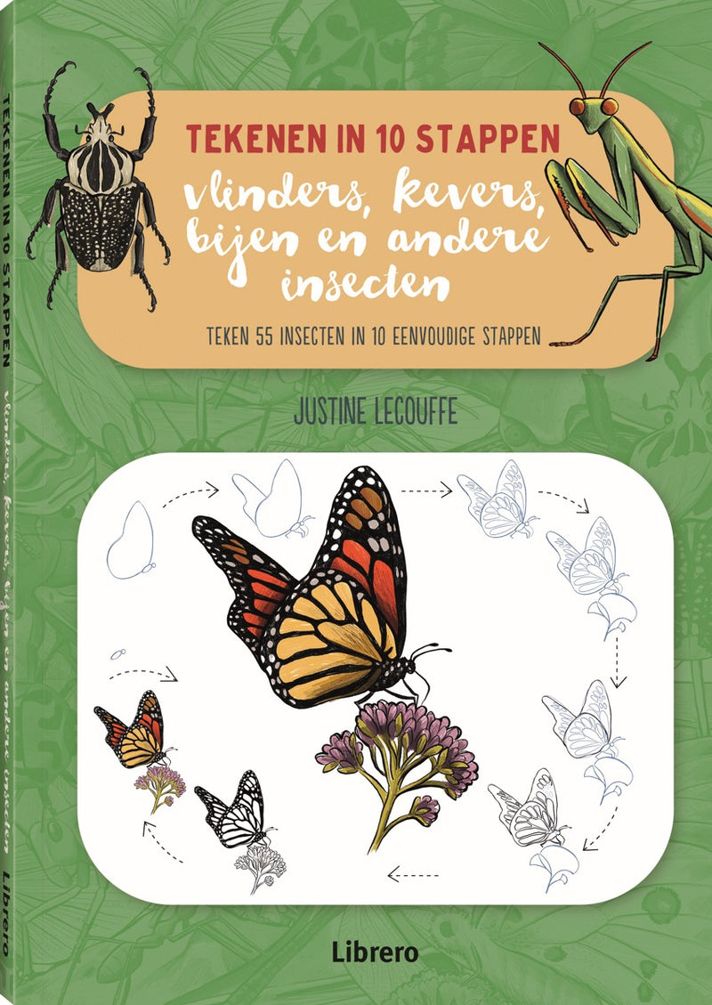 Boek - Tekenen in 10 Stappen - Vlinders, kevers, bijen en andere insecten