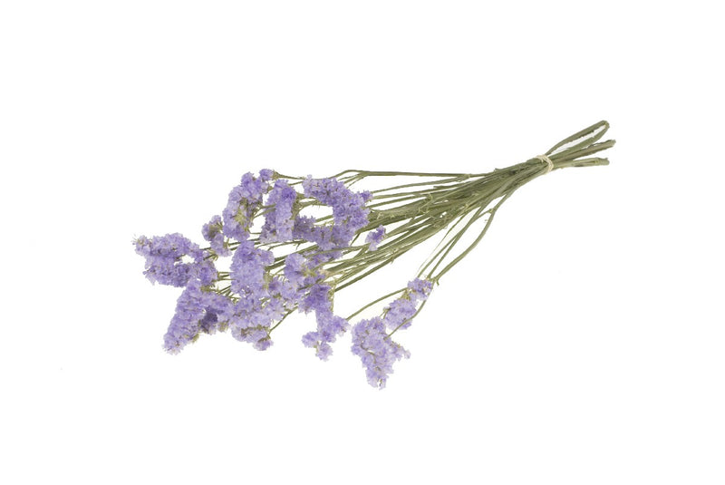 Droogbloemen - Statice sinuata lila