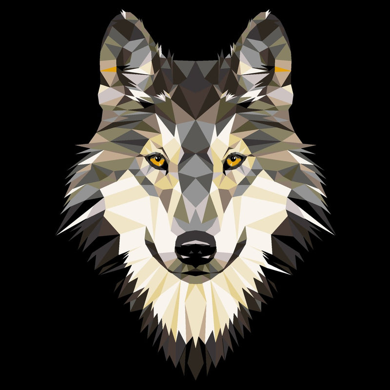 Schilderen op nummer - wolf