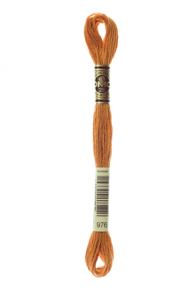 DMC Mouliné Spécial - 976