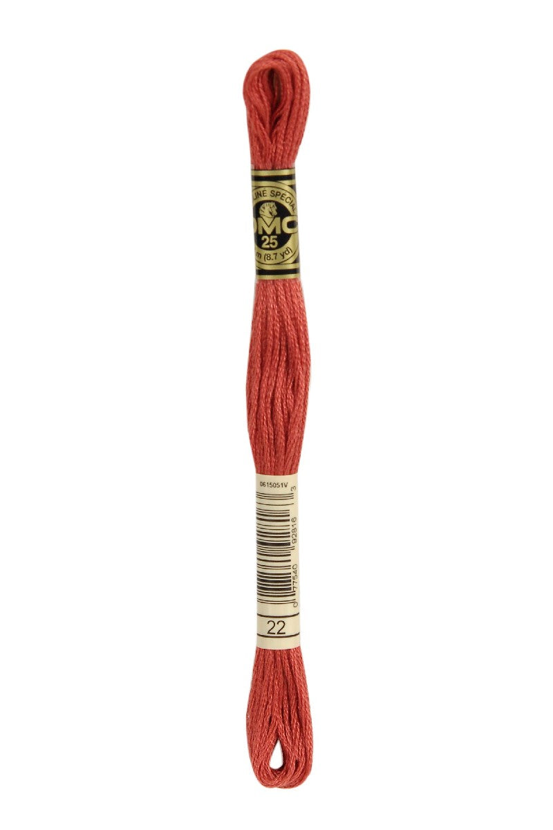 DMC Mouliné Spécial - 22