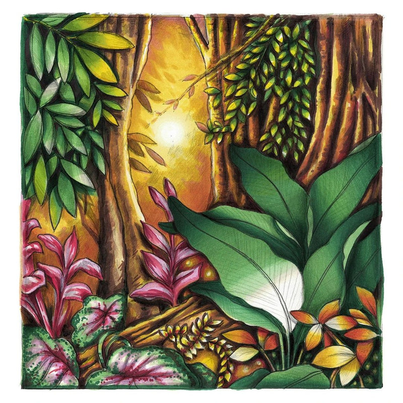 Chameleon Color & Blending System #7 - CS6607