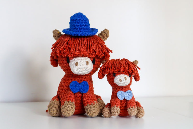 Hoooked DIY kit - Aidan family