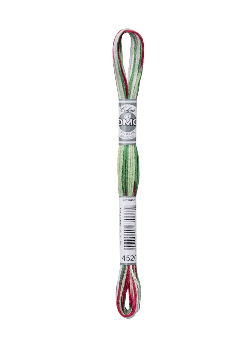 DMC Mouliné Coloris - 4520
