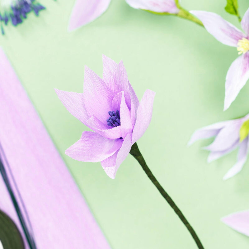 crêpepapier ridderspoor bloemen