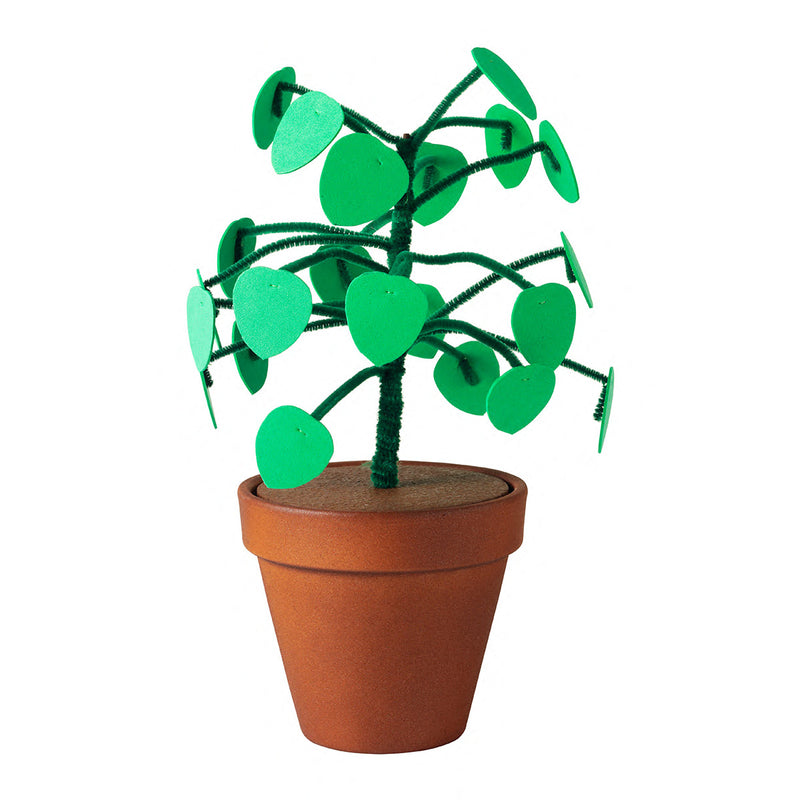 een pannenkoekplant
