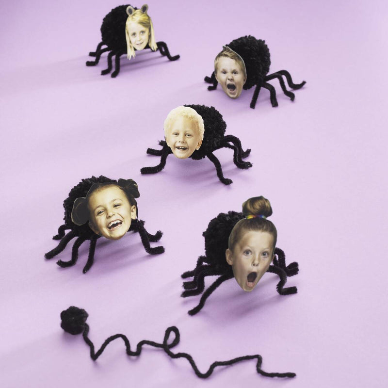 schattige spinnetjes