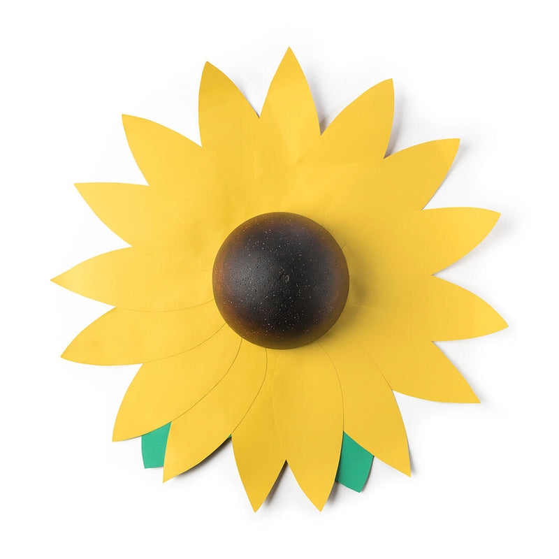 een zonnebloem