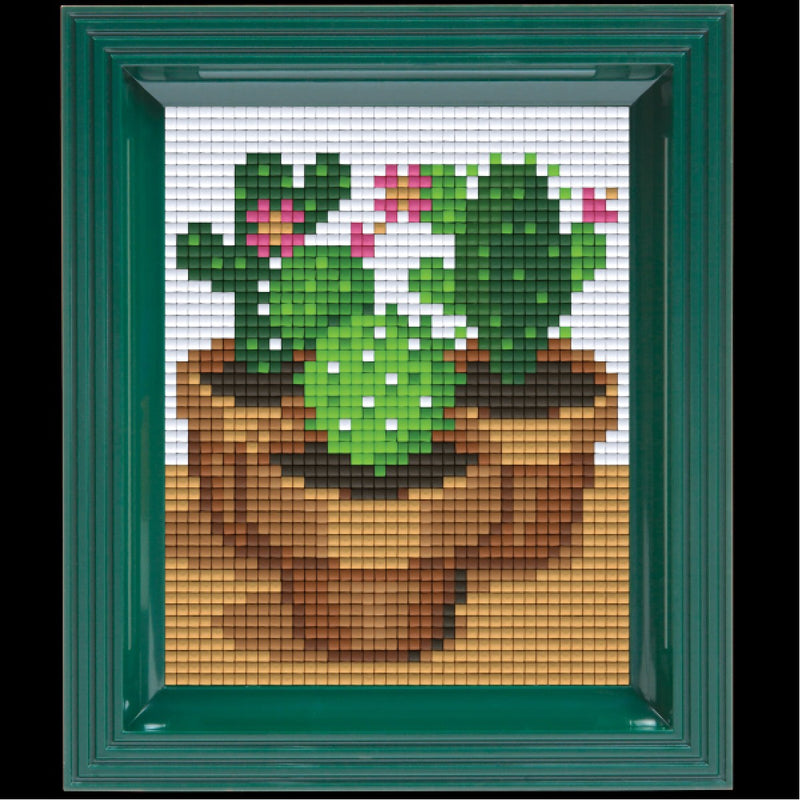 Pixelhobby set met lijst - cactussen