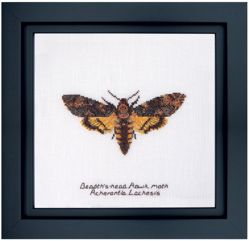 Borduurkit aida death's head hawk moth