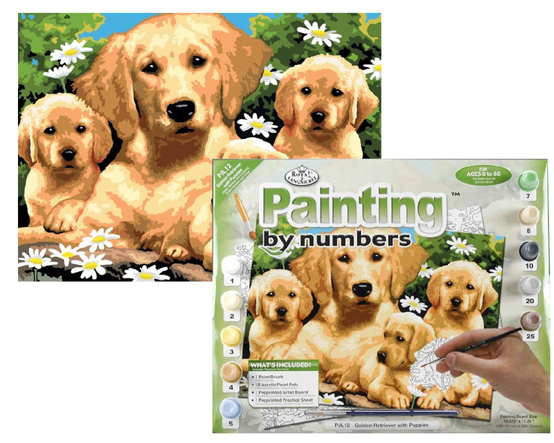Schilderen op nummer Junior XL Golden Retriever