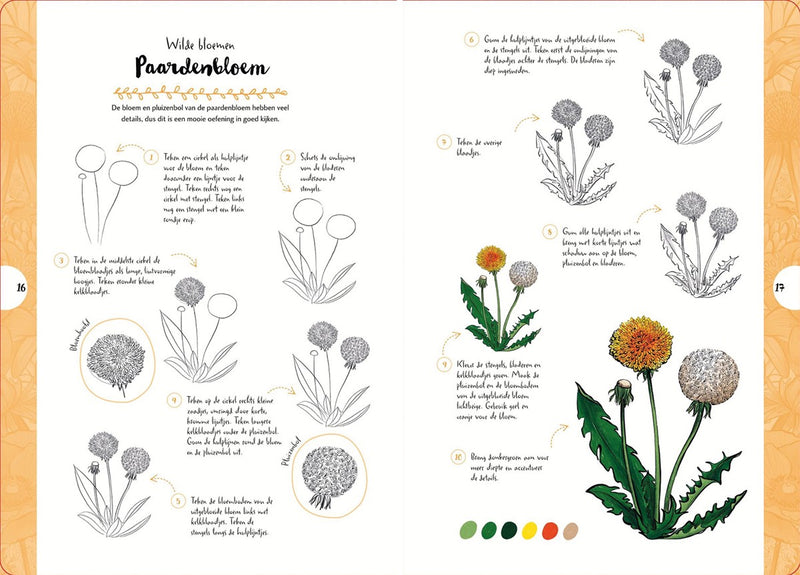 Boek - Tekenen in 10 Stappen - Wilde Bloemen en Planten