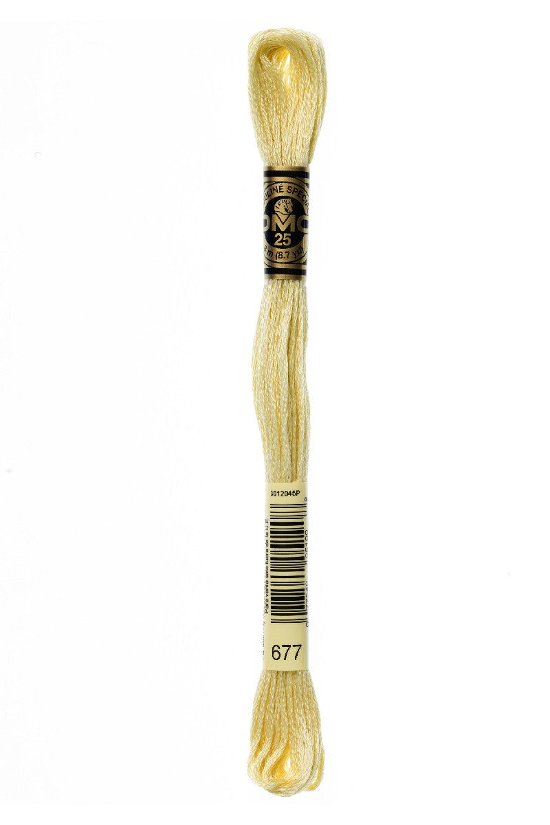 DMC Mouliné Spécial - 677