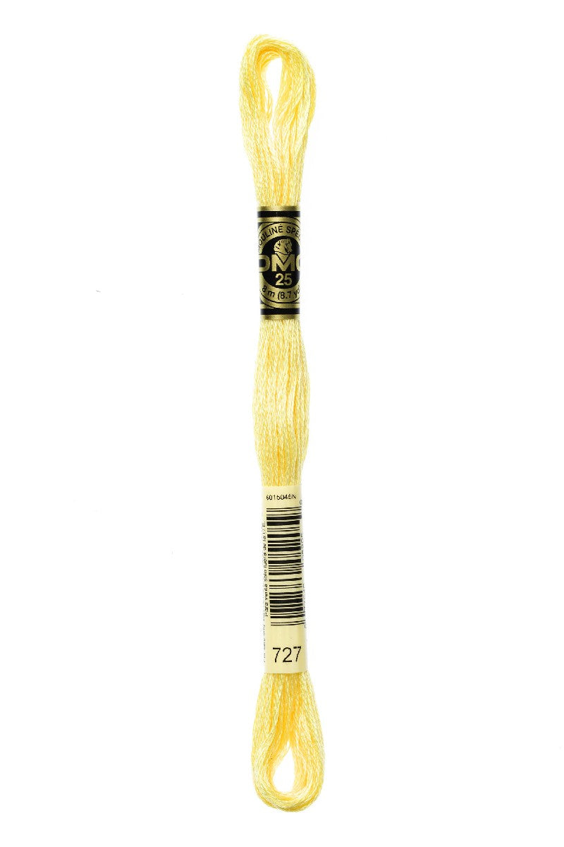 DMC Mouliné Spécial - 727