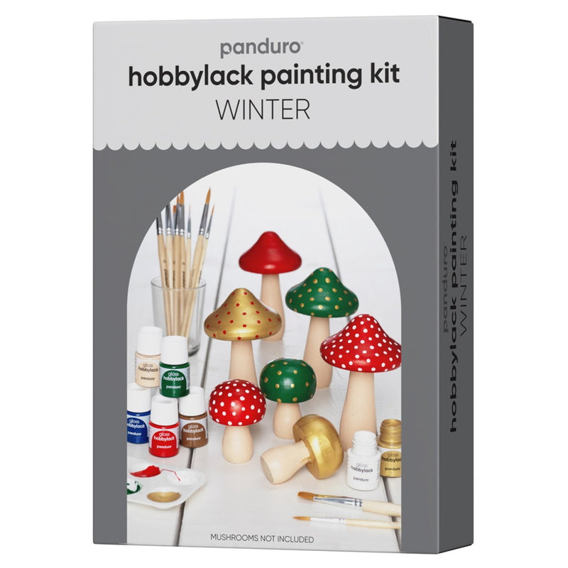 Panduro set hobbylak + accessoires - glans - winter