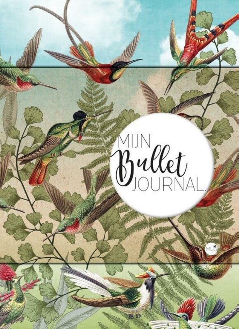 Mijn Bullet Journal - kolibrie