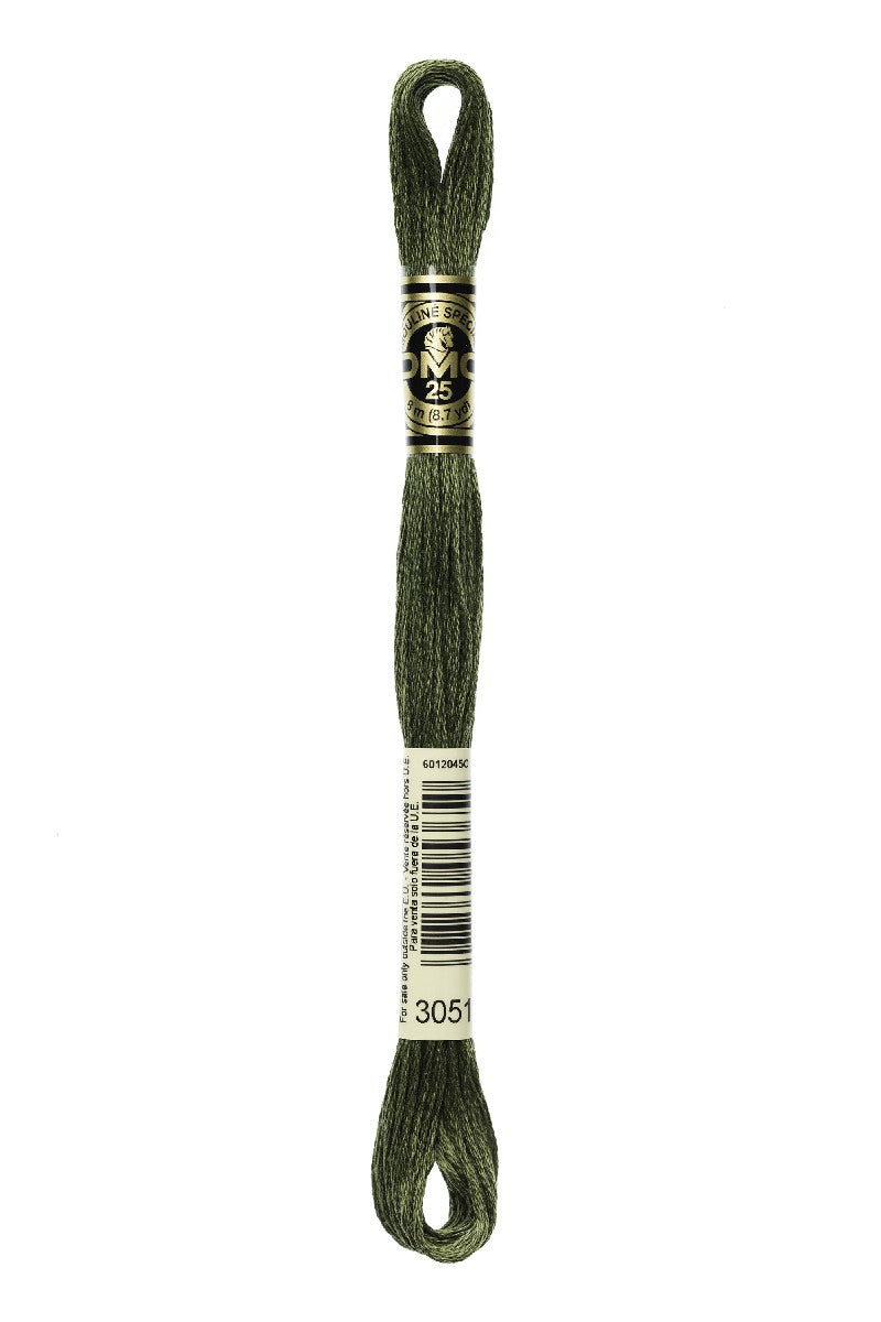 DMC Mouliné Spécial - 3051