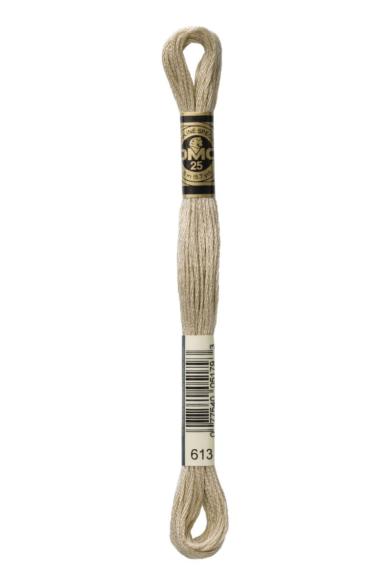 DMC Mouliné Spécial - 613