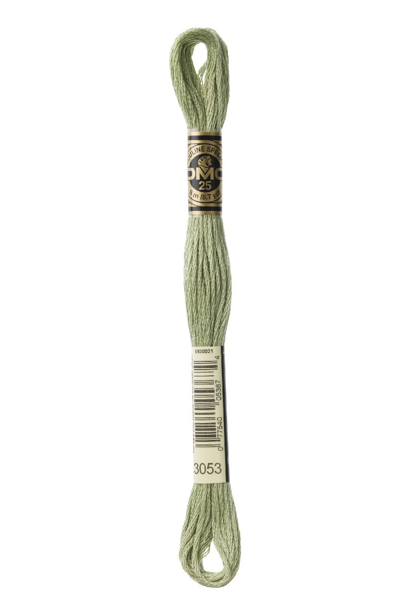 DMC Mouliné Spécial - 3053