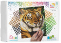 Pixelhobby set - 9 platen - tijger