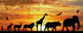 Diamond Dotz - 80x36 cm - African sky