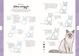 Boek - Tekenen in 10 Stappen - Katten