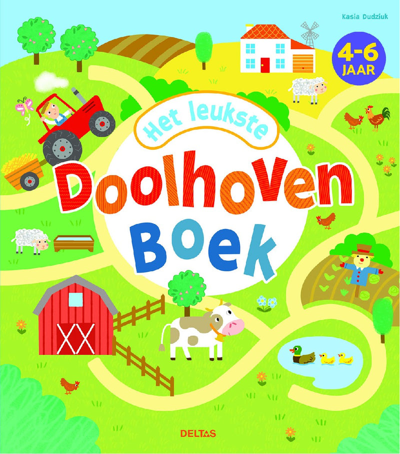 Boek - Het leukste doolhovenboek