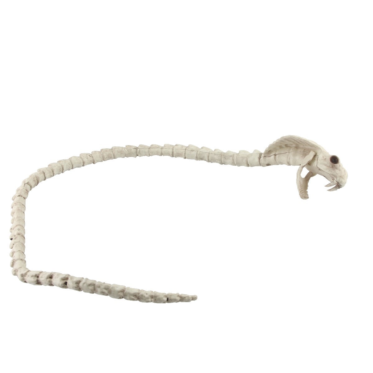 Skelet - cobra 104 cm