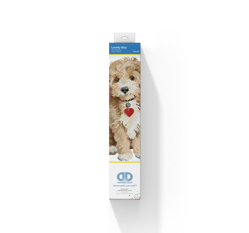 Diamond Dotz - 43x41 cm - Lovely Boy