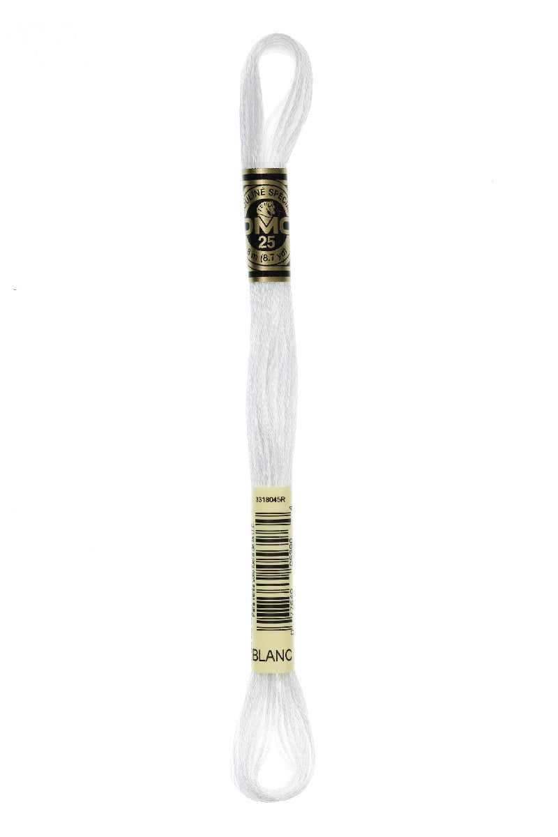 DMC Mouliné Spécial - 009/BLANC