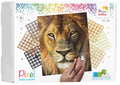 Pixelhobby set - 9 platen - leeuw