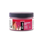 Amsterdam Creative Wall Paint - 250 ml - 366 quinacridone rose