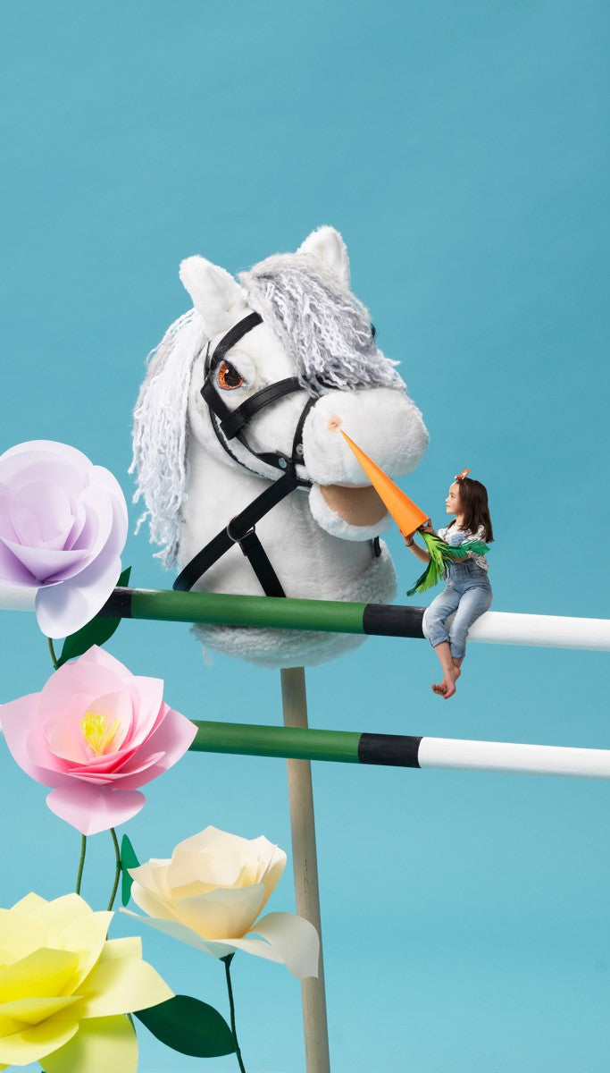 Hobby Horse - hoofdstel - zwart