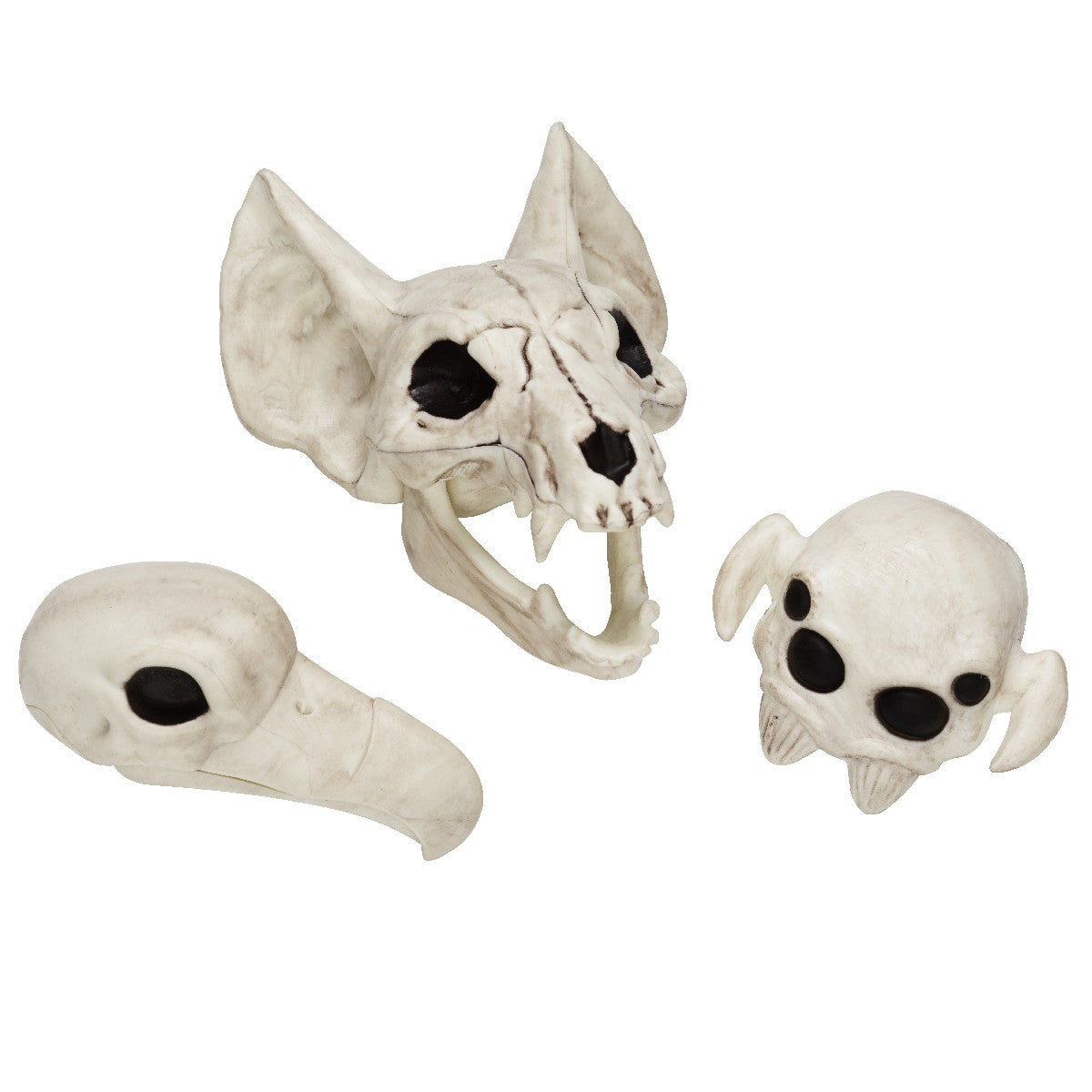 Schedel set van 3