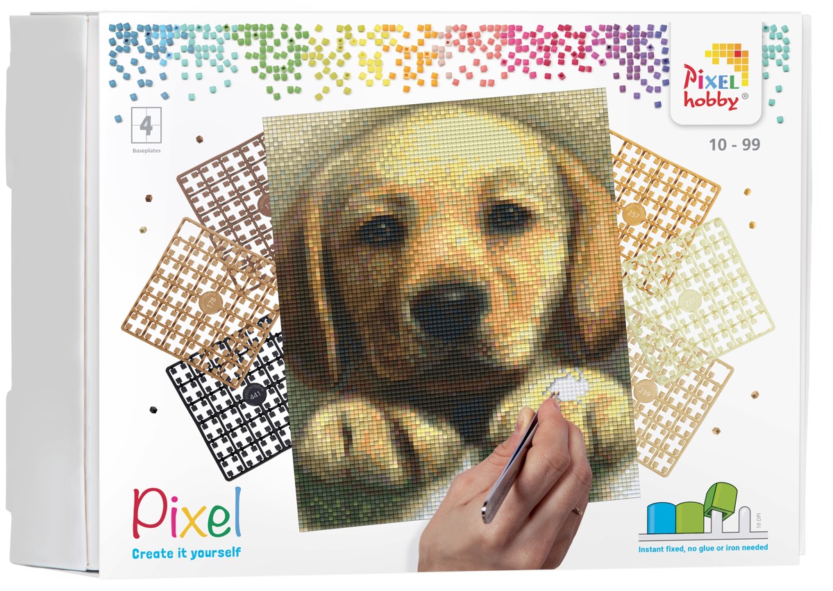 Pixelhobby set - 4 platen - golden retriever