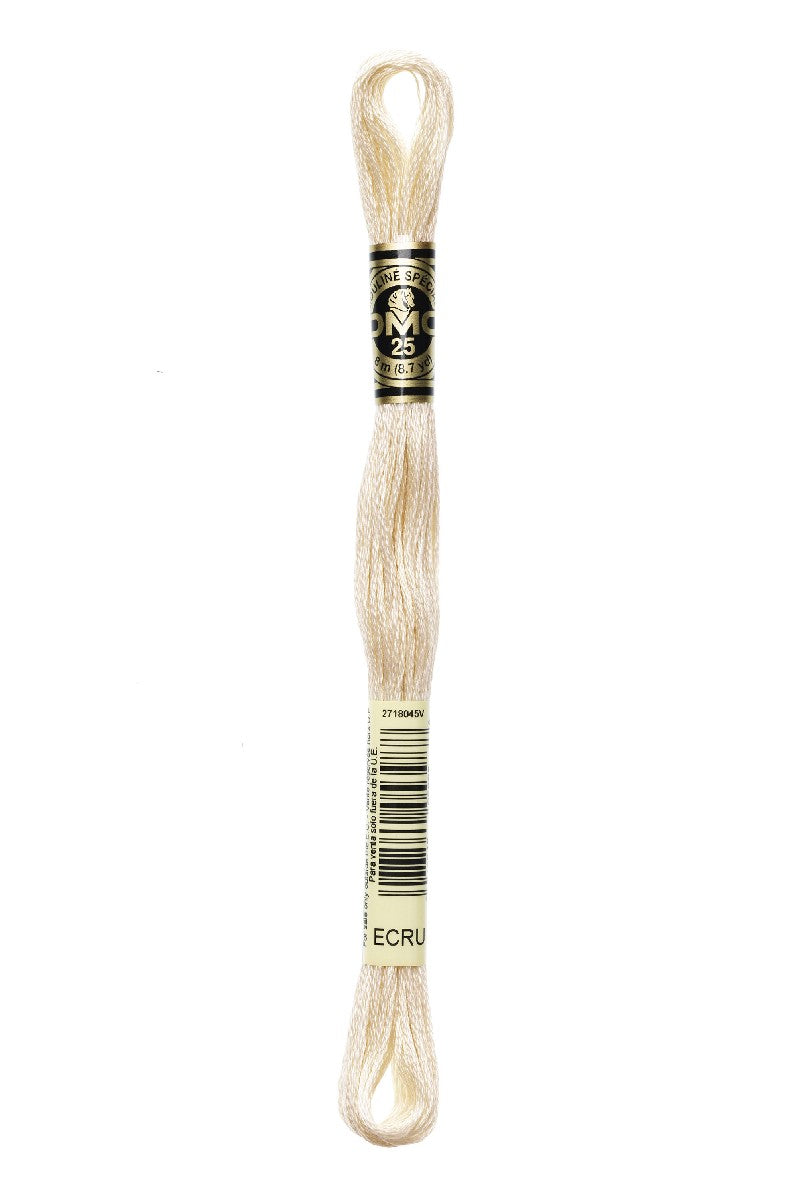 DMC Mouliné Spécial - 080